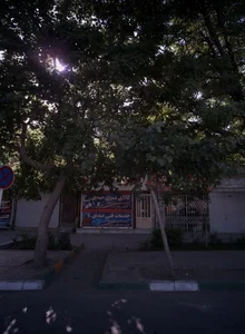 الکتریکی صدیق