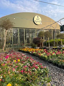 کافه گلخونه(Golkhoneh cafe)