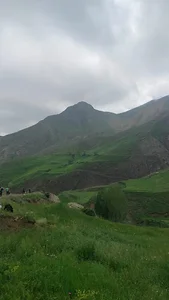 پناهگاه قله اورین