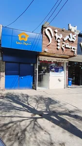 شیک نما