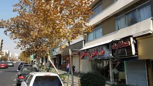 طباخی ساعی 2