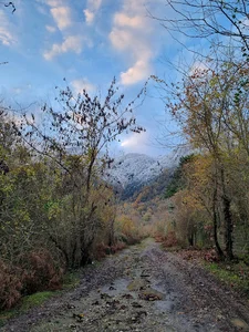 پارک جنگلی انارور