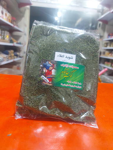 کوکب خانوم