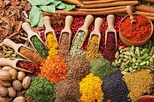 عطاری ارکیده