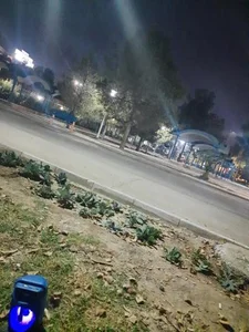 پارک لاله 4