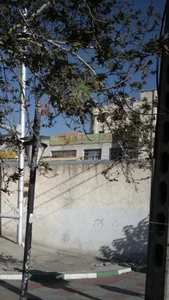 آموزشگاه زبان دخترانه پیوند 2