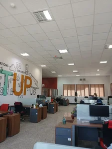 باتریکو