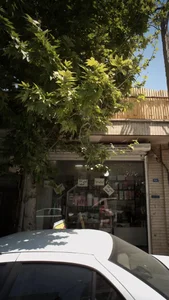 ارزان سرا کیش کالا کلبه