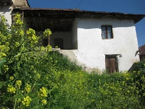 فروش ساعت مچی و دیواری و تعمیرات ایده آل