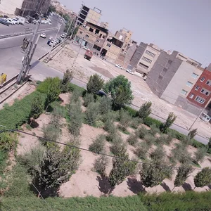 فضای سبز شهیدان کرباسی