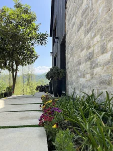 کلبه پاروتیا parrotia cottage