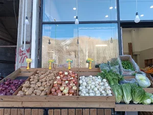 میوه تره بار شمیرانات