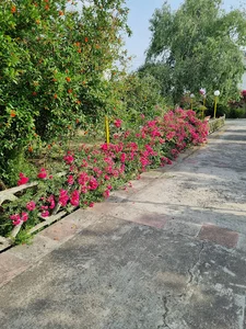 ویلای مهندس خواستار