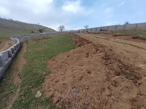 باغچه رضا رجوانی