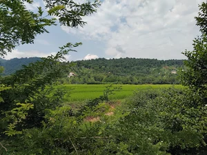 اداره جهاد کشاورزی