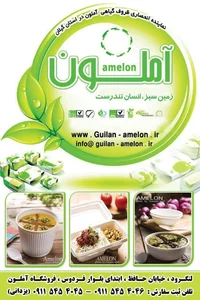 ظروف گیاهی آملون 5