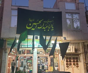 اکوهاشمی