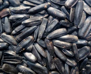 Nuts And Seeds Shopخشکبار و آجیل سالاری