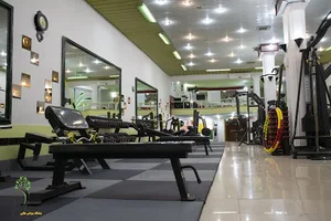 مجتمع فرهنگی ورزشی طلایی 2
