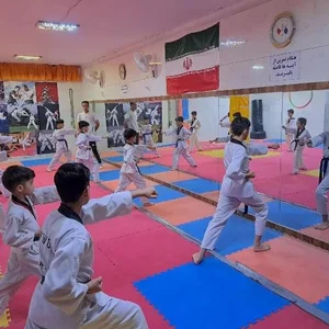 باشگاه ورزشی دلفین سفید 5