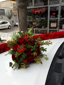 گلسرای پادینا