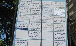 دکتر عارفه احمدی افشار