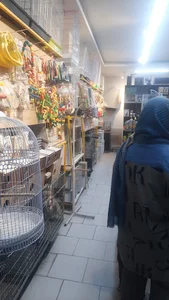 پرنده فروشی دایی