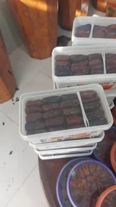 شهر خرما 4