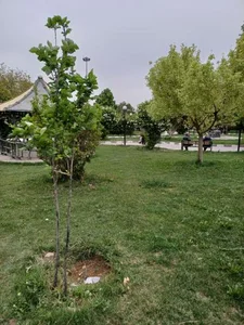 پارک شهرک فرهنگیان 3
