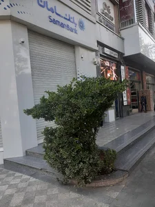 رویال هوم