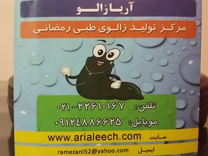 زالو درمانی و پخش زالوی طبی