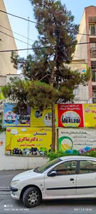 دبستان پسرانه غیردولتی آداب