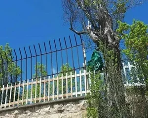 تاقه دار