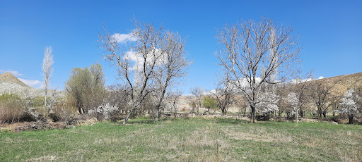 قلهک سفلی