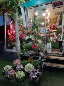 گلفروشی ولنجک 2