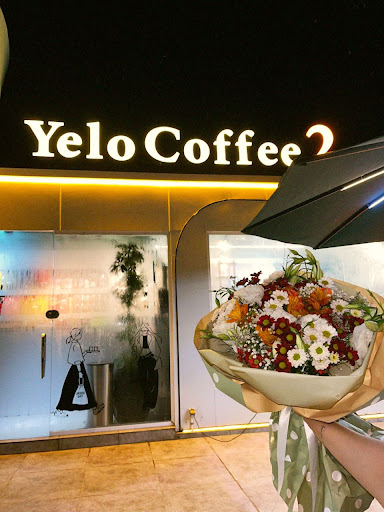 Yelo cafe