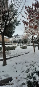 تربت‌حیدریه