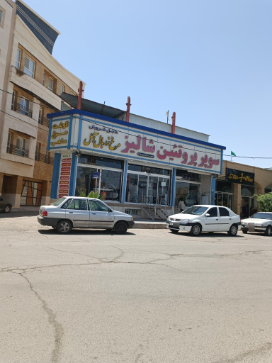 پروتئین شالیز