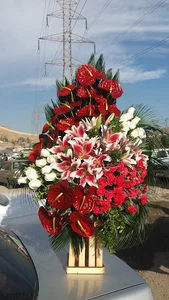 گلستان ژالان