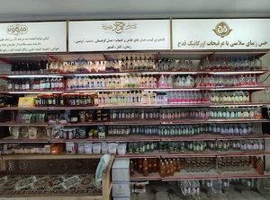 ادویه صانعی