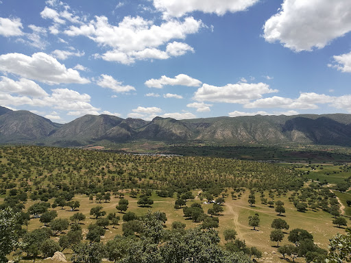 روستای بزرگ کل‌کش