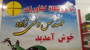 میثم ولی زاده