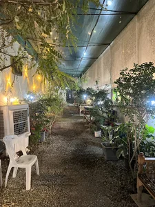 سفره خانه شب‌های ارغوان