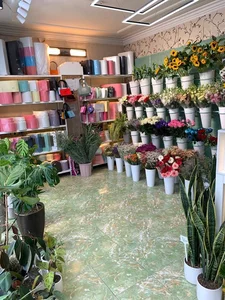 گل رزینا 3