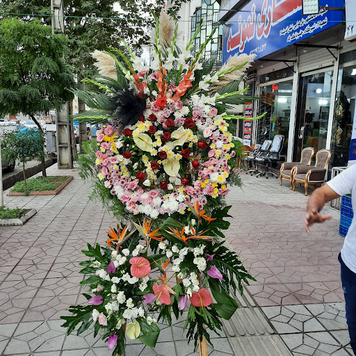 گل سرای پامچال