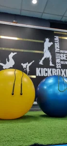 MEY GYM باشگاه رزمی و آمادگی جسمانی