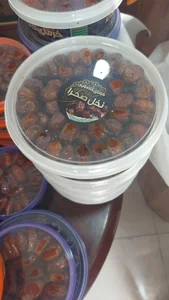 شهر خرما 3