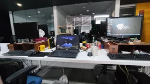 ویرا تیم
