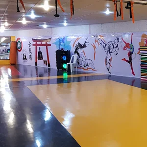 آیکیدو مِی سِی کای