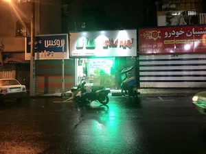 لوازم یدکی رنو یدک